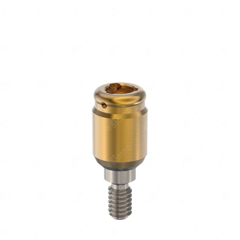 Loc. Abutment + Processing Package, G4.0mm compatible with Best Fit® Internal Hex 002 HXI G21171 – GT-Medical S.L., Abutments