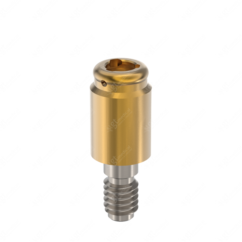 Loc. Abutment + Processing Package, G5.0mm compatible with Camlog® Camlog® System 4.3 G20802 – GT-Medical S.L., Abutments