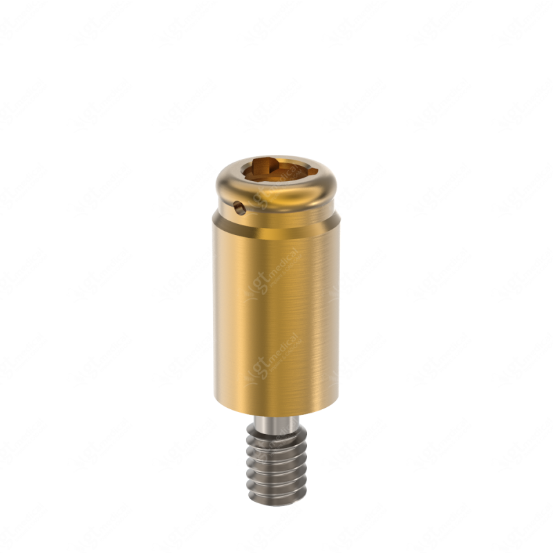 Loc. Abutment + Processing Package, G6.0mm compatible with Best Fit® e-Clean Regular G21047 – GT-Medical S.L., Abutments
