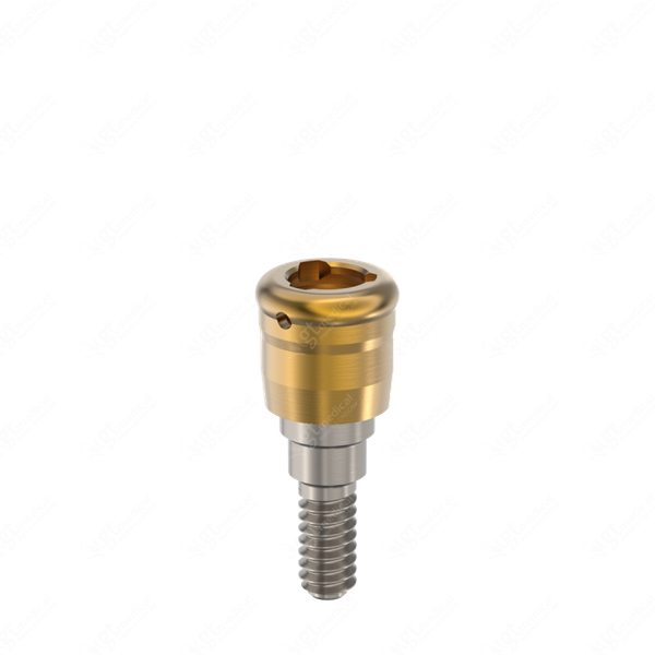 Loc. Abutment + Processing Package, G2.0mm compatible with Dentsply® Friadent® Xive® Ø3.4 G21253