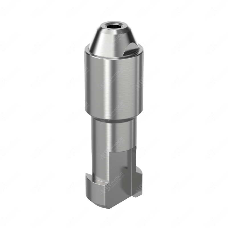 Analog D4.6mm for Screw-Retained Abutment Ø 4.6 compatible with Straumann® BLX® RB/WB E002033 – GT-Medical S.L., Sonstiges