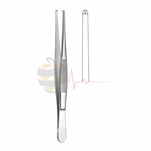 Dissecting Forceps (14.5cm, Standard Pattern)