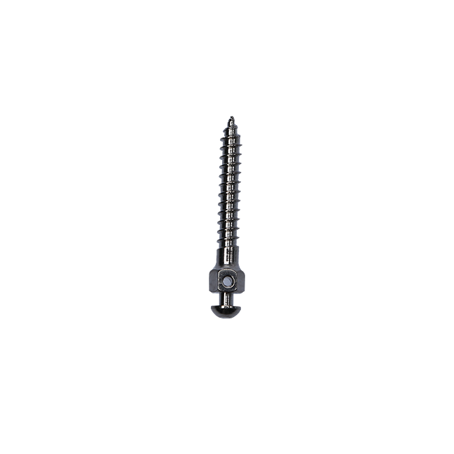 Orthodontic Mini Screw for Orthodontic Implant – Sino Ortho Limited, Verankerungssysteme