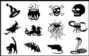 Orthocryl Decal Biber – DENTAURUM, Kunststoffe