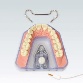 Oberkiefermodell A-RE SET OK 99-001