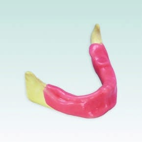 Implant-Trainingsmodellkombination A-J KW
