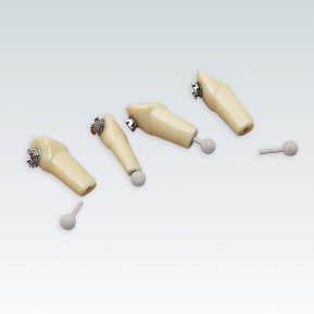 A-3 ZEB Einzelzähne der Serie A-3 ZEB für Modell A-8 – Frasaco, Sonstiges KFO