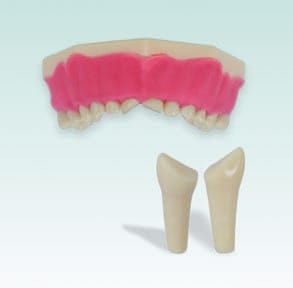 AK-6/2 ZP51 99-003 NBS Karies – Frasaco, Gipszusätze, Stumpflacke und Gipslöser