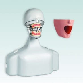 P-6/3 TSE OM Dental-Übungsgerät