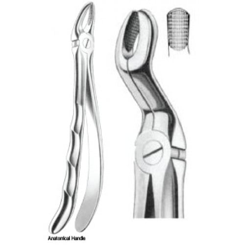 Zahnzangen Fig. 67A – J+K Chirurgische Instrumente GmbH, Extraktionszangen