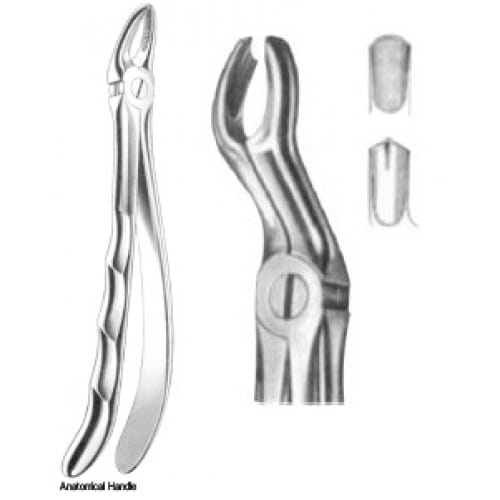 Zahnzangen Fig. 67R – J+K Chirurgische Instrumente GmbH, Extraktionszangen