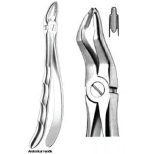 Zahnzangen Fig. 30 – J+K Chirurgische Instrumente GmbH, Extraktionszangen