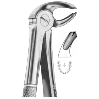 Extracting Forceps – KT Surgico, Extraktionszangen