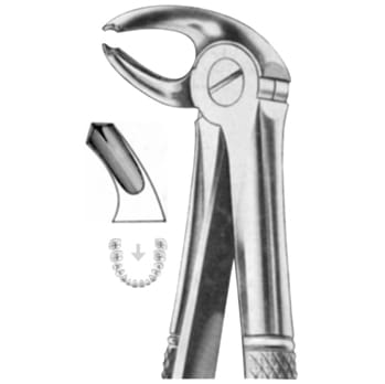 Extracting Forceps – KT Surgico, Extraktionszangen