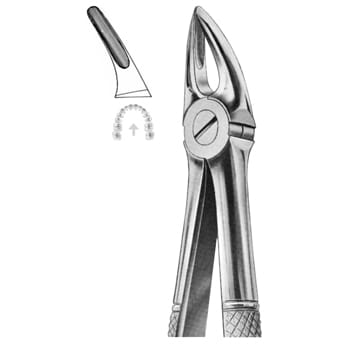 Extracting Forceps – KT Surgico, Extraktionszangen