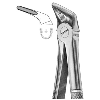 Extracting Forceps – KT Surgico, Extraktionszangen