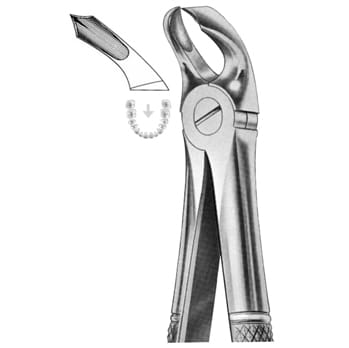 Extracting Forceps – KT Surgico, Extraktionszangen