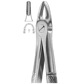 Extracting Forceps – KT Surgico, Extraktionszangen