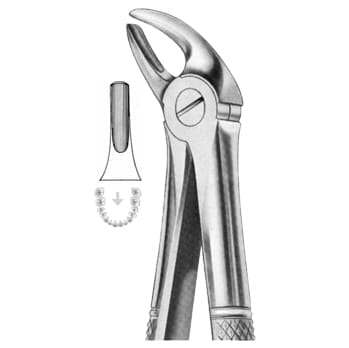 Extracting Forceps – KT Surgico, Extraktionszangen