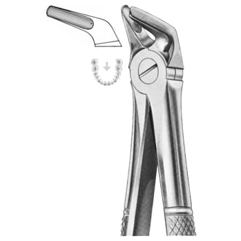 Extracting Forceps – KT Surgico, Extraktionszangen