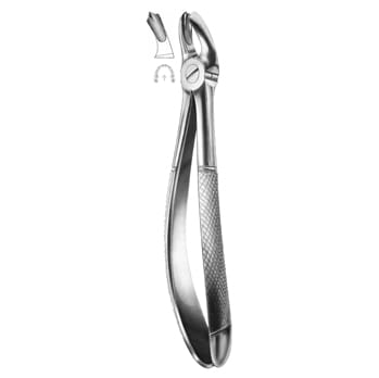 Extracting Forceps – KT Surgico, Extraktionszangen