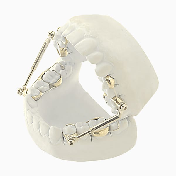 Banded Herbst HE/04