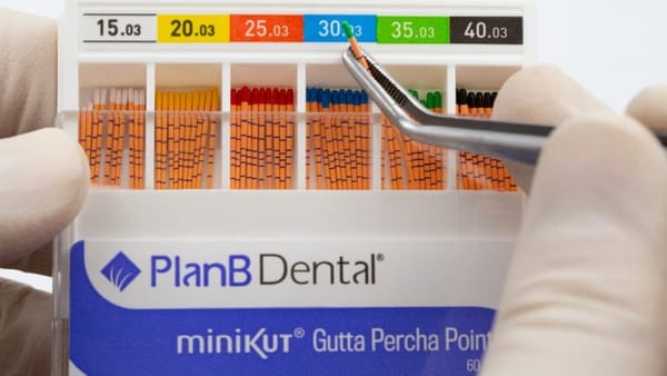 miniKUT Sortierte Guttapercha-Stifte