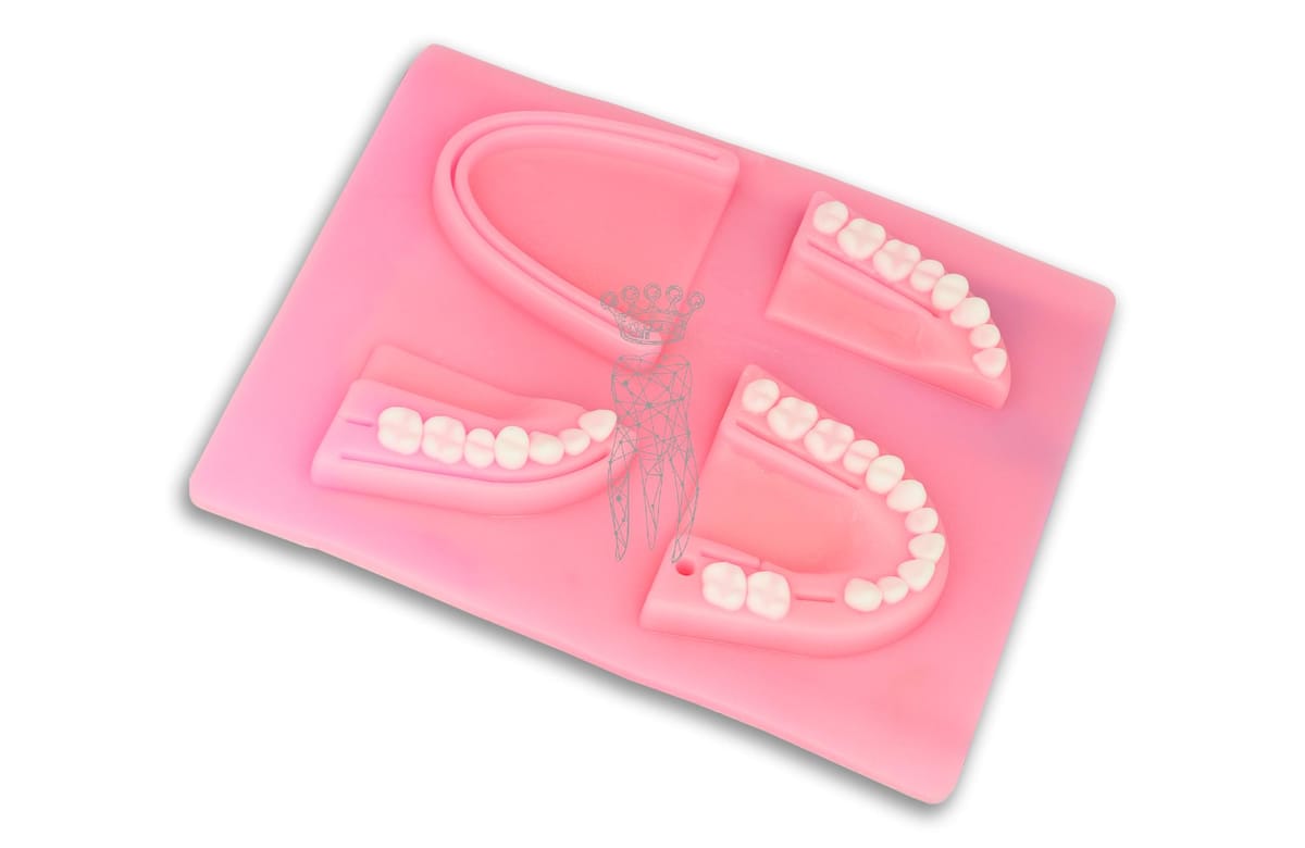 Dentalnaht-Übungspad - Gebissform – Carl Martin, Zubehör für Nahtmaterial
