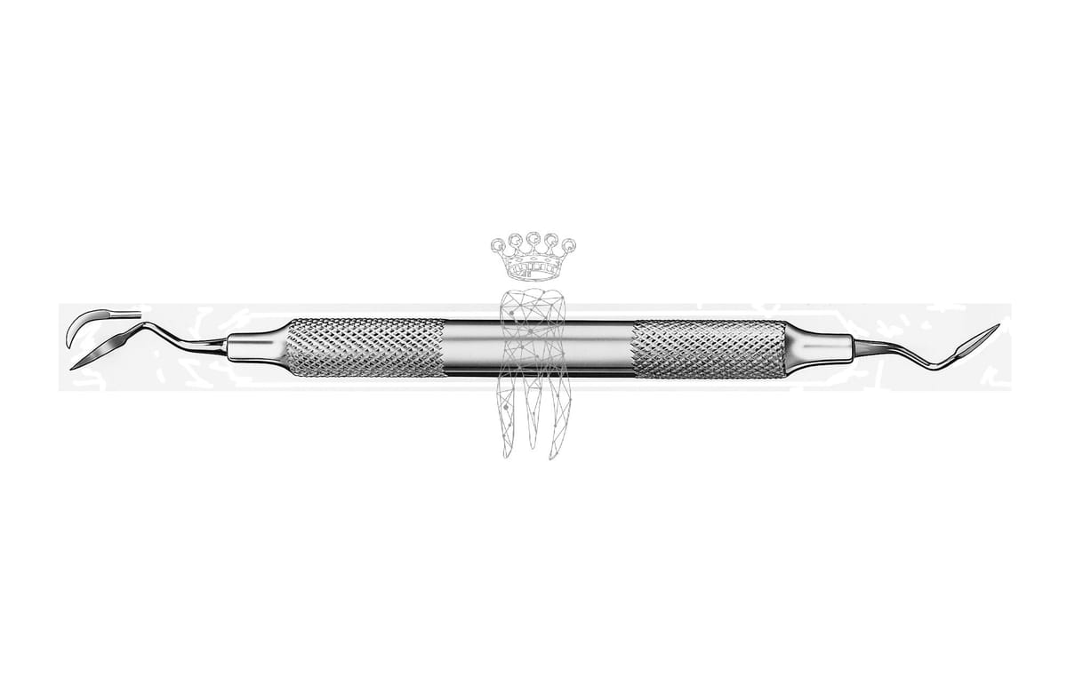 Scaler ERGOTOUCH – Carl Martin, Scaler
