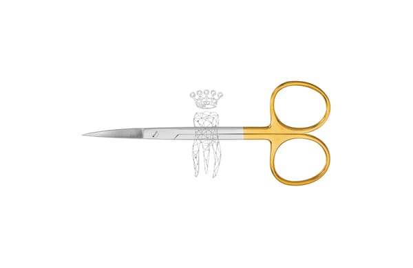 Zahnfleischschere gebogen 12cm TC