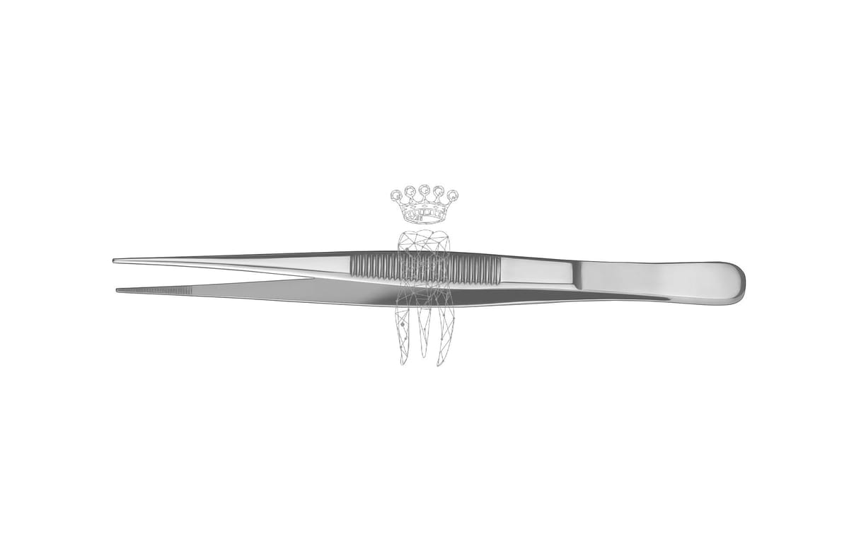 Pinzette anatomisch 14.5cm feines Arbeitsende – Carl Martin, Pinzetten