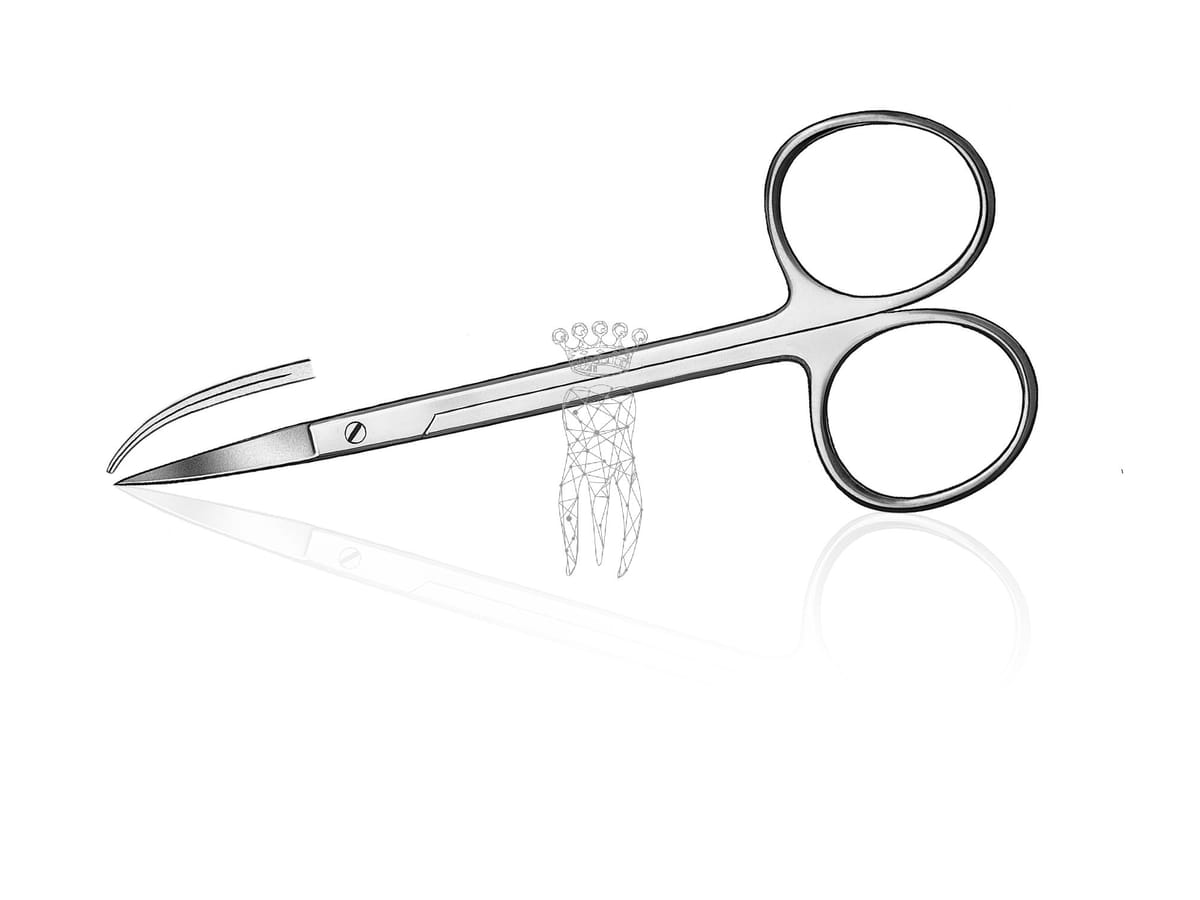 Zahnfleischschere gebogen 12cm mit grossen Ringen – Carl Martin, Gingivektomiemesser - Zahnfleischscheren