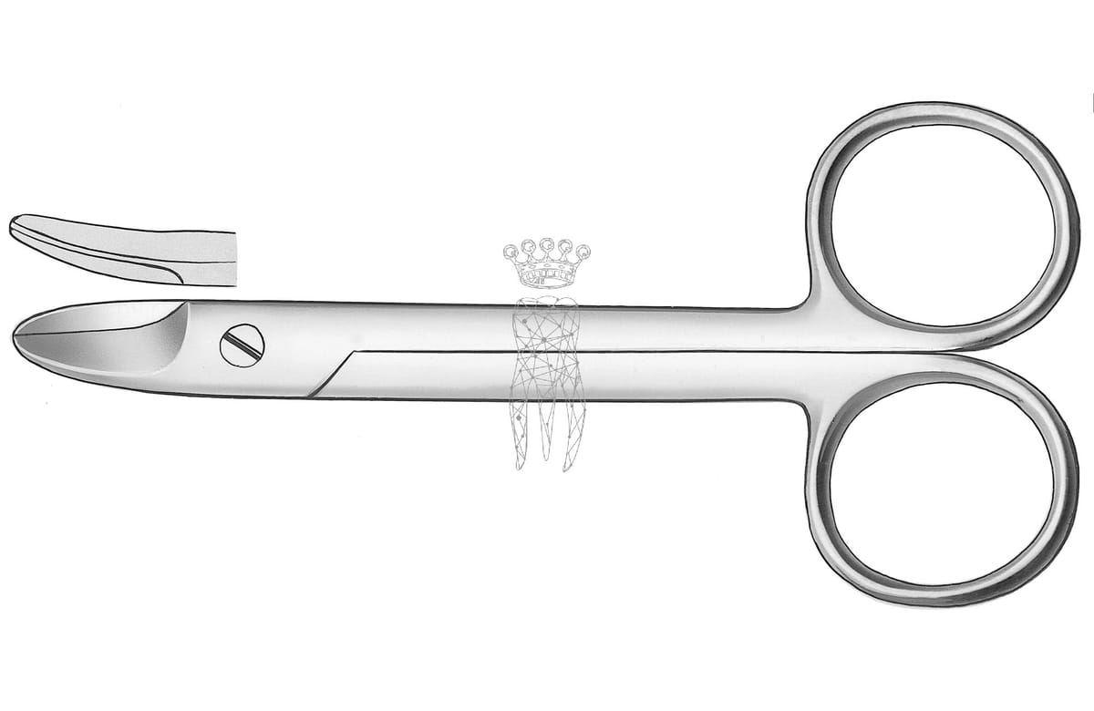 Kronenschere gebogen Beebee – Carl Martin, Kronentrenner, Amalgamentferner