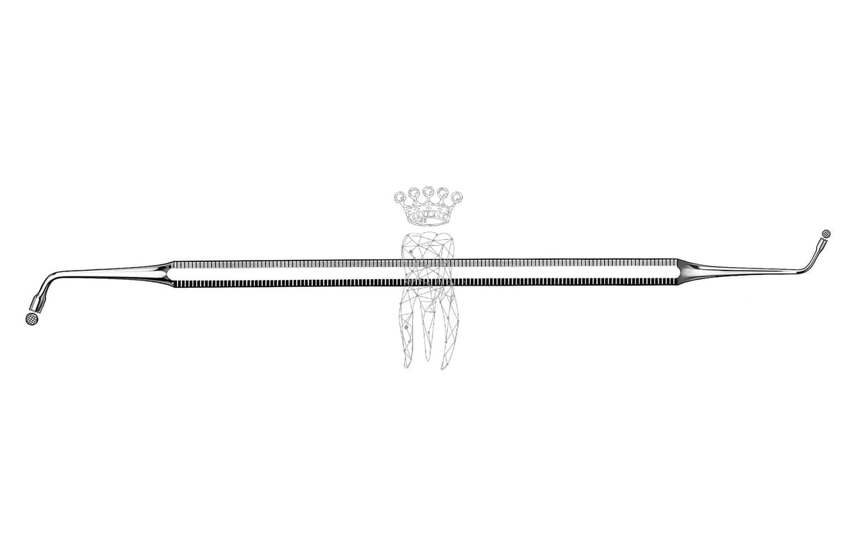 Füllungsinstrument Ash Ø 1.5mm/2.5mm – Carl Martin, Composite-Instrumente