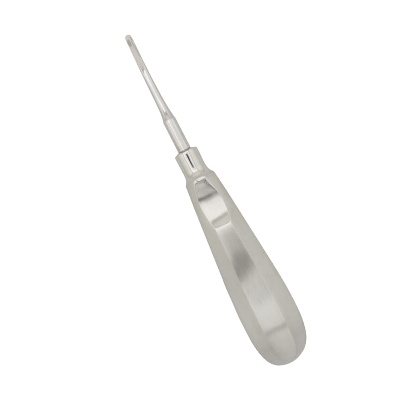 3mm Luxating Root Elevator: Precision Instrument for Delicate Oral Surgery – Absolute Sport Srl Skeema Dental Italia, Wurzelheber
