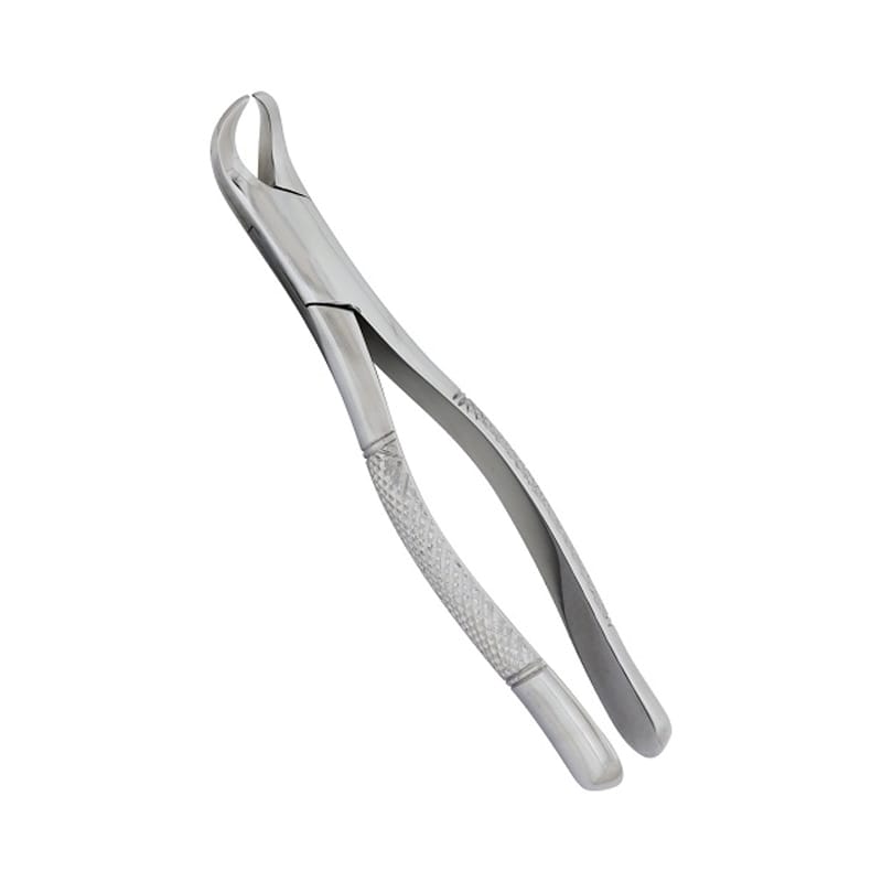 Efficient Extraction: Fig 23CH Cowhorn Forceps for Dental Procedures – Absolute Sport Srl Skeema Dental Italia, Extraktionszangen