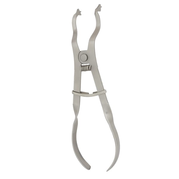Ivory Stainless Steel Dental Clamp Forceps: 17.00cm Precision Instrument