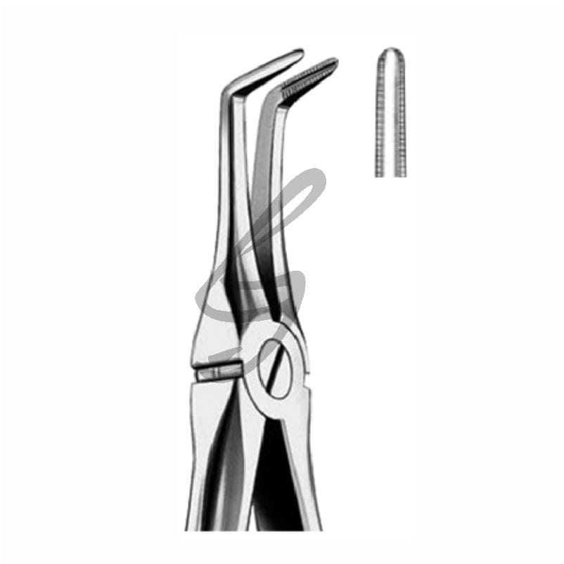 Zahnzangen Fig 146 – Soligs, Extraktionszangen