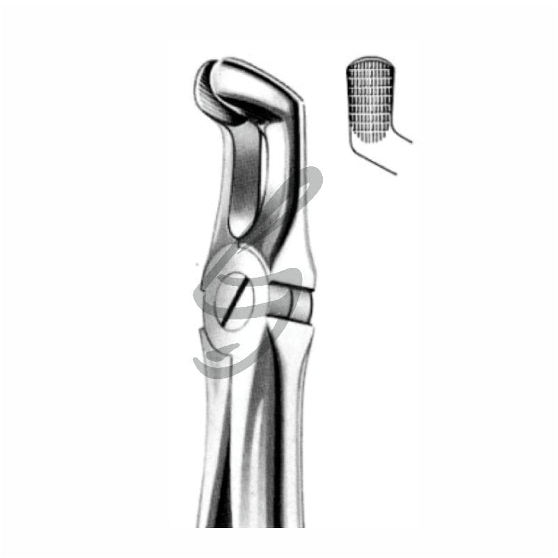 Zahnzange Fig 79A – Soligs, Extraktionszangen