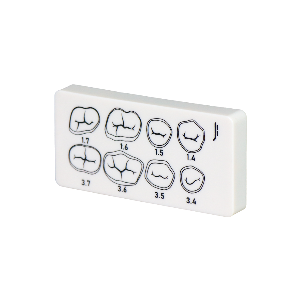 3-Layer Resin Tooth Preparation Practice Board | Jinglemed JG-SD – FOSHAN JINGLE MEDICAL EQUIPMENT CO.,LTD., Demomodelle