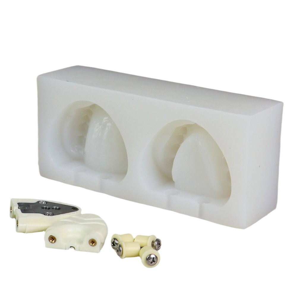 Soft Silicone Dental Mold – 28 Teeth Full Dentition with Metal Plate for Head Model JG-Y17-T – FOSHAN JINGLE MEDICAL EQUIPMENT CO.,LTD., Demomodelle