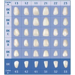 Assortment of 5 veneers of all forms + 1 can of wax up sculpturing wax – al dente Dentalprodukte, Wachse