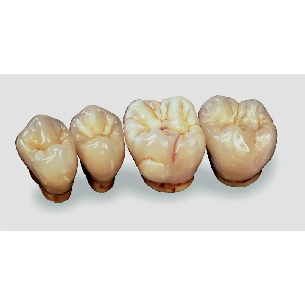 Nachfüllpackung Real Art Sculpturing Wachs – al dente Dentalprodukte, Wachse