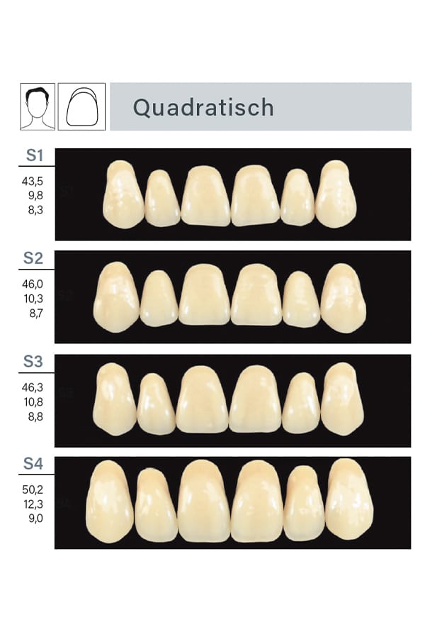 INKA plus – ARGEN Dental, Keramikmassen