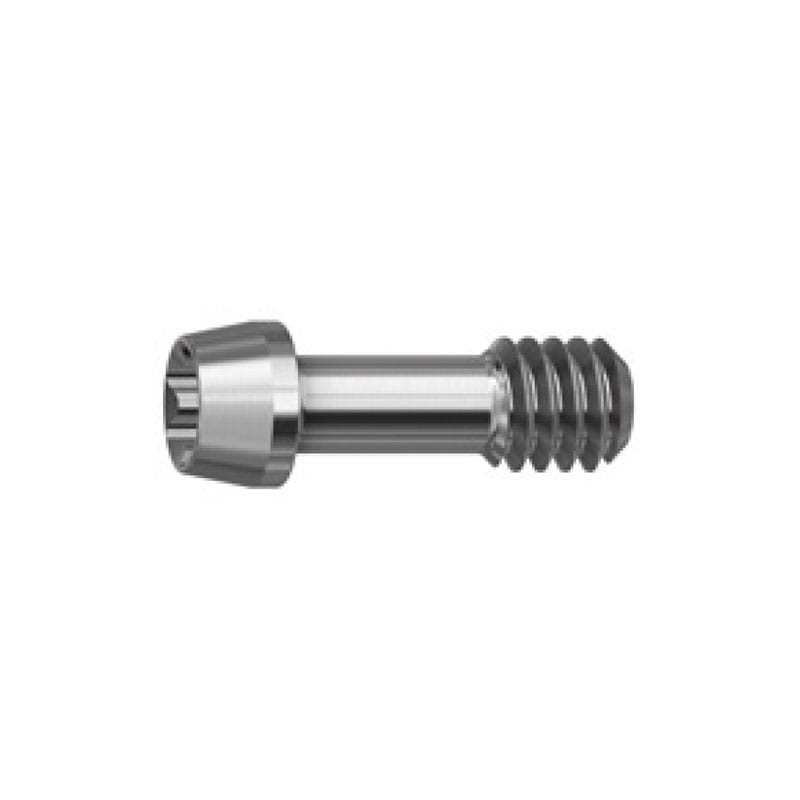 ASC Schraube für abgewinkelten Schraubenkanal – ARGEN Dental, Abutments