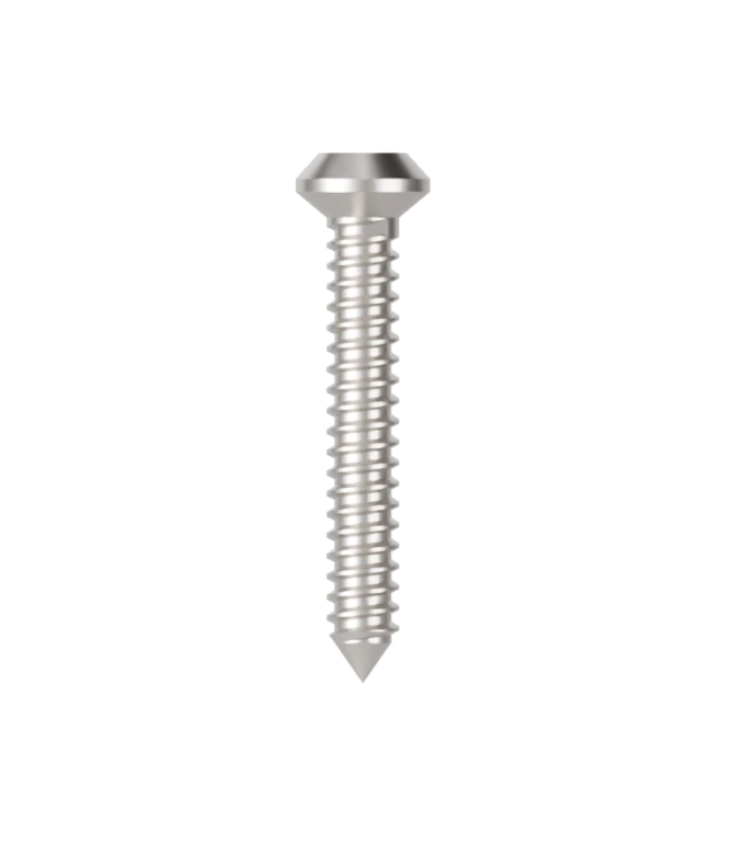 Viti di bloccaggio – Biologitech Srl, Knochenersatzmaterial