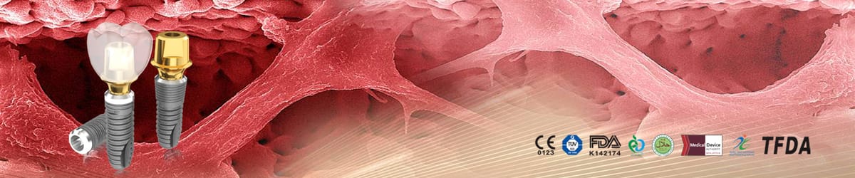 Biomate Bi-20 Implantationsmotor – Biomate Medical Devices Technology, Geräte