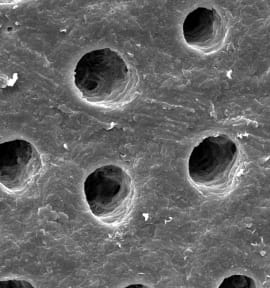 BioMin F für Kinder