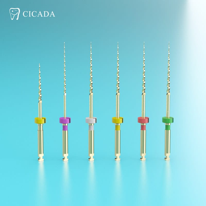 Endo File DT-EN R6 – Foshan Cicada Dental Instrument Co., Ltd, Feilen (maschineller Gebrauch)