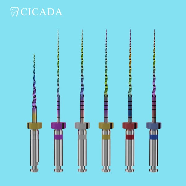 Rainbow Endo files DT-C3 RW6